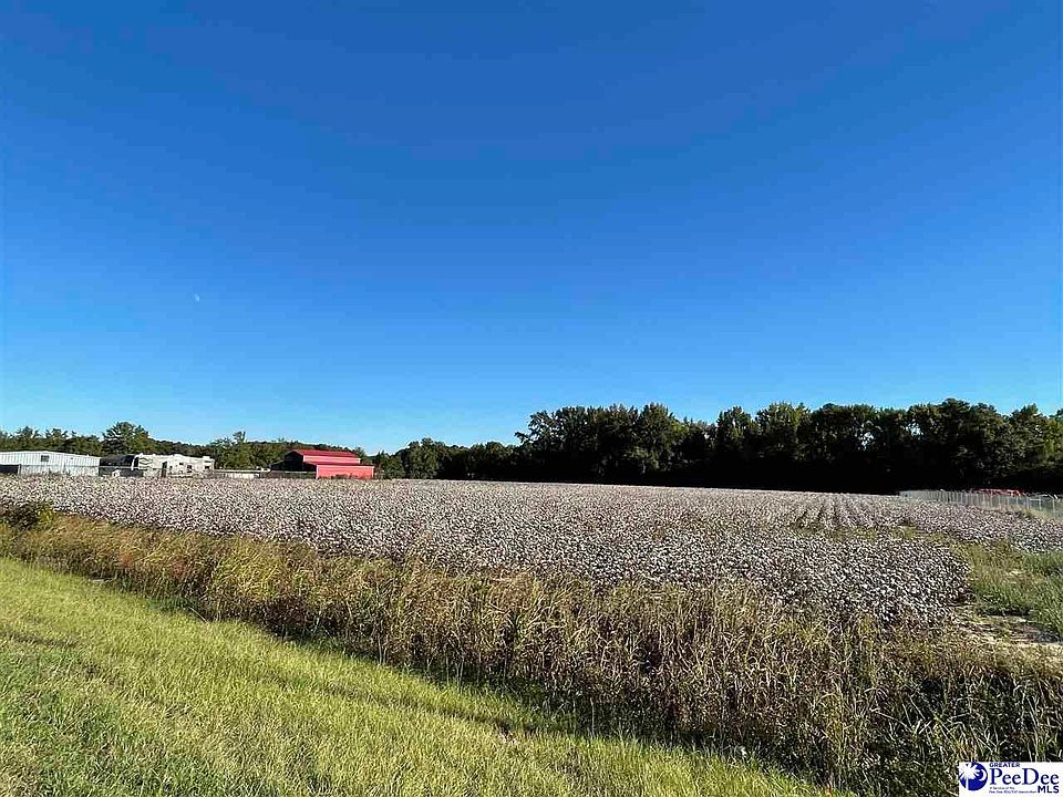 1st image of State Highway 151