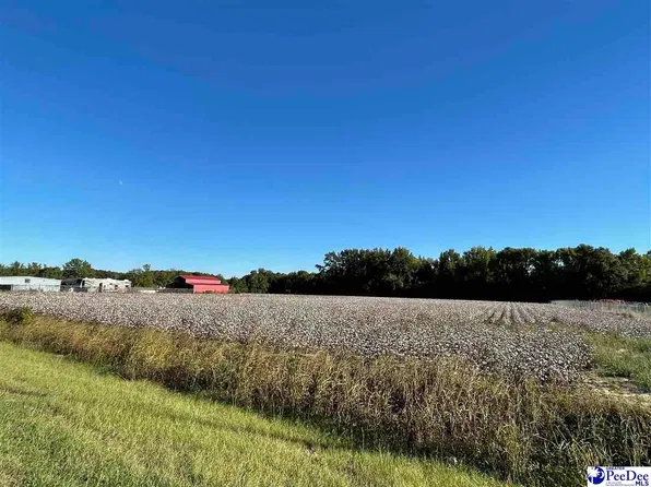 State Highway 151, Darlington, SC 29532
