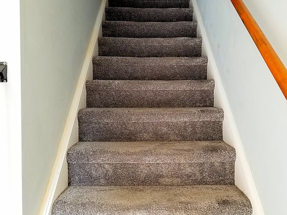 Carpet 1 yr old, very clean