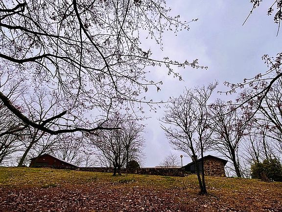 4th image of 1509 Highpoint Rd