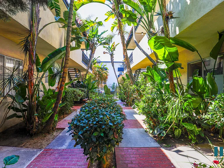Interior Garden