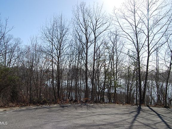 5th image of 0 Eerie Point Lot 43