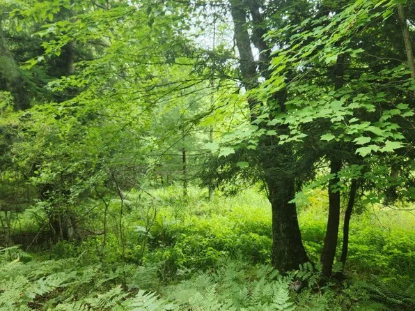 S 128th Ave, Rothbury, MI 49452