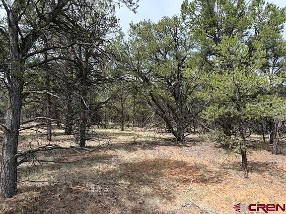 3rd image of Lot 2 (TBD) Snowberry Lane
