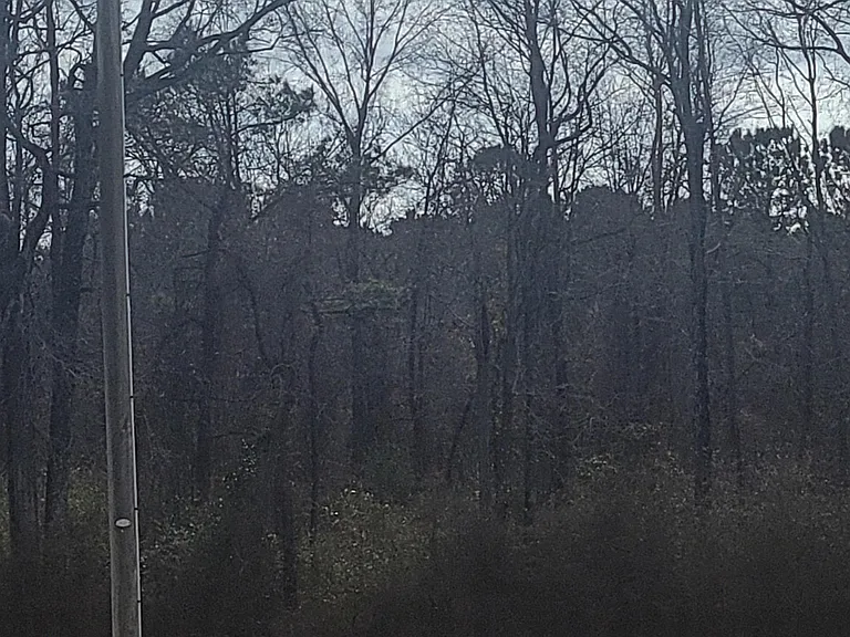 Point Caswell Rd — Photo 5
