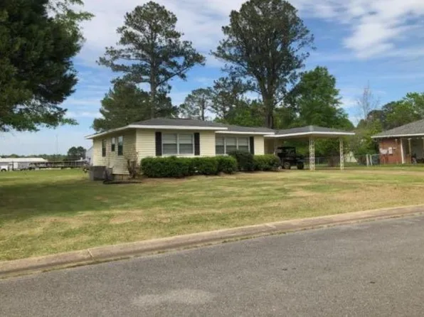 307 N Dvorak Cir, Linden, AL 36748