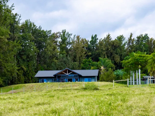 36-574 Spencer Rd, Laupahoehoe, HI 96764