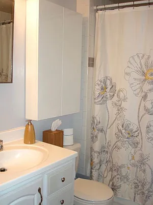 Rented by Brooklyn Properties | media 15