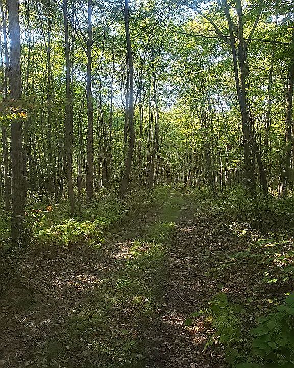 1st image of 0 Chalk Hill Ohiopyle Rd Lot 2