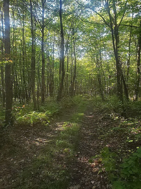 0 Chalk Hill Ohiopyle Rd Lot 1 photo 1