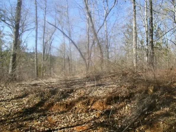 99 Old Post Trl Lot 1, Talking Rock, GA 30175