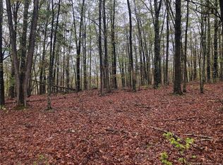 0 S Highway 19, Salem, MO 65560