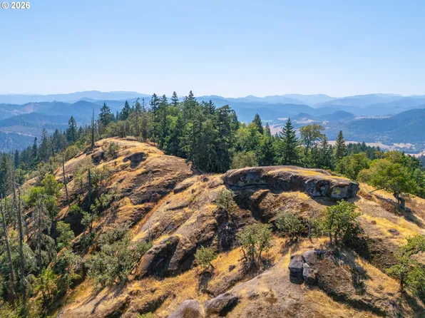 Strickland Canyon Rd #Tl100, Tenmile, OR 97481