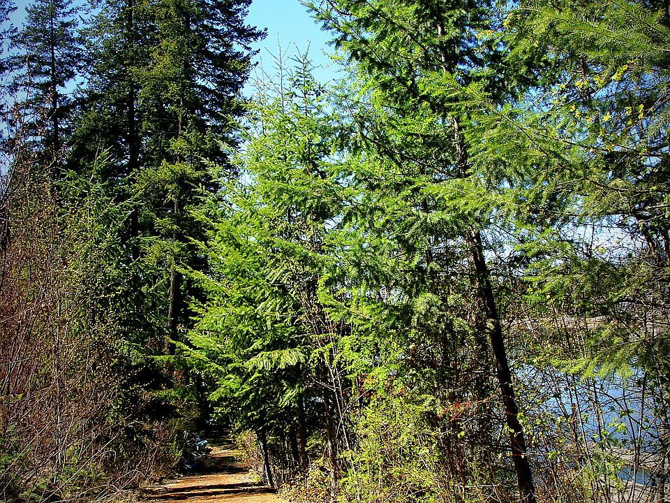 2nd image of 8287 W Riverview Dr Lot 3