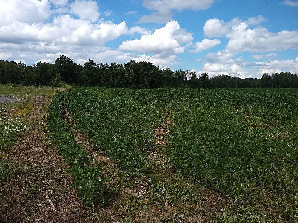 1st image of 3188 County Road 4 Lot 2