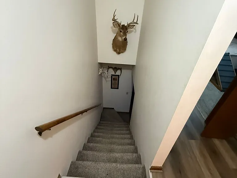 529 Walnut St — Photo 11
