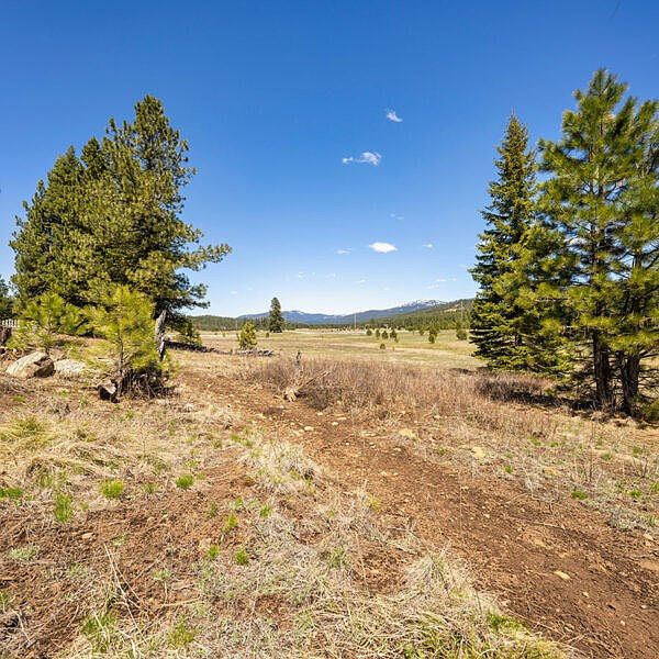 2nd image of 26 To Be Determined