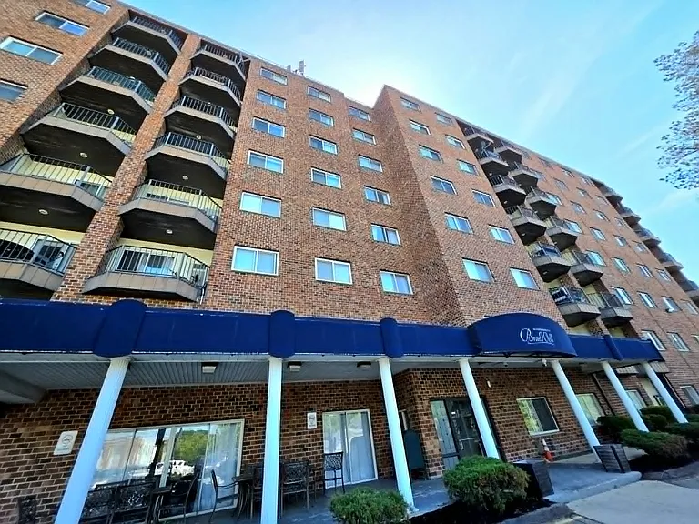 230 Willard St #407 — Photo 2