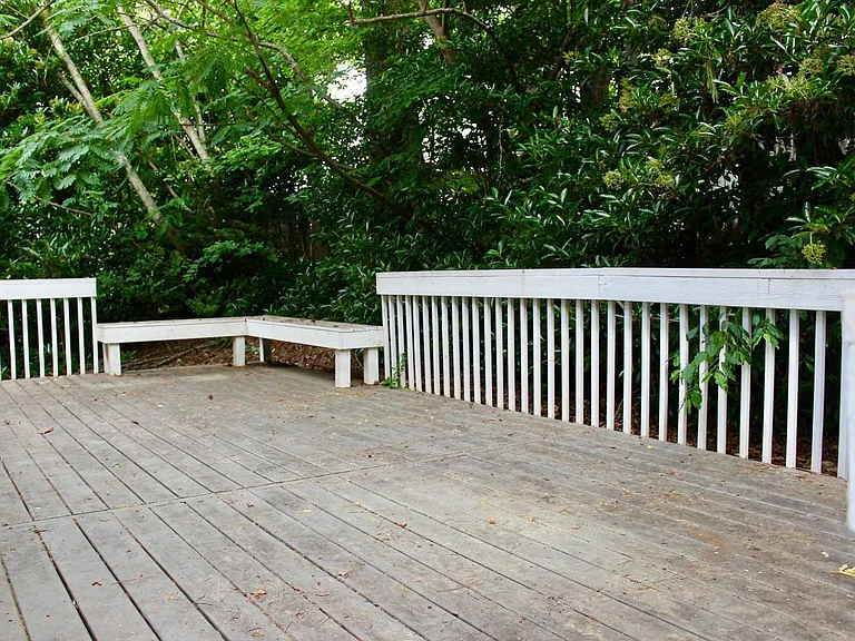 113 Trailing Fig Ct — Photo 34