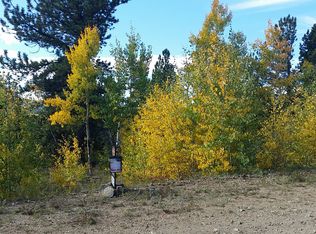 48 Pickle Pt, Black Hawk, CO 80422