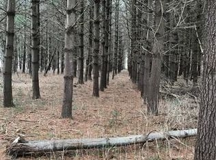 9999 Montford Cove Rd, Marion, NC 28752