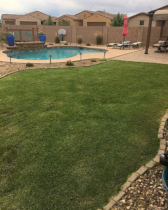 Real grass
