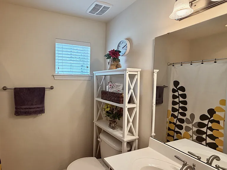 11611 Elizabeth Madison Ct — Photo 20