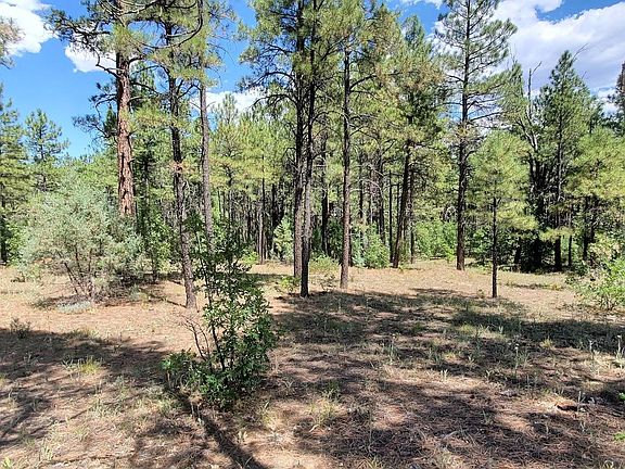 4th image of 2250 S Trillium Ln Lot 189