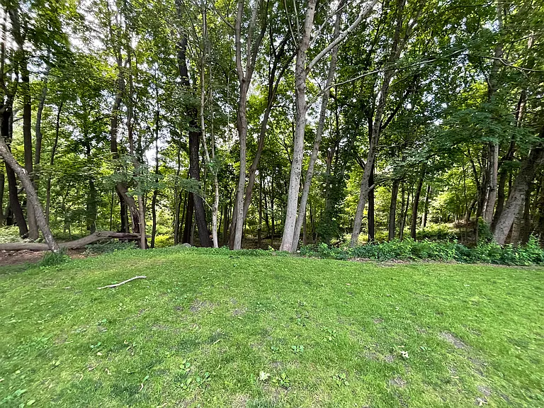 63 Shady Lea Rd — Photo 16