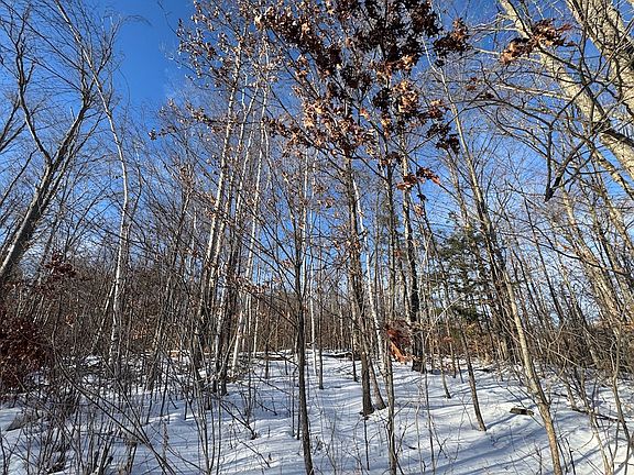 5th image of W Miller Rd