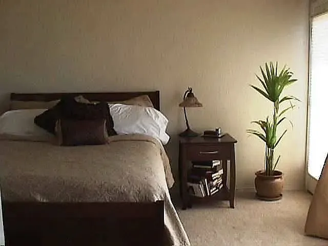 9514 Newport Plum Ct — Photo 12