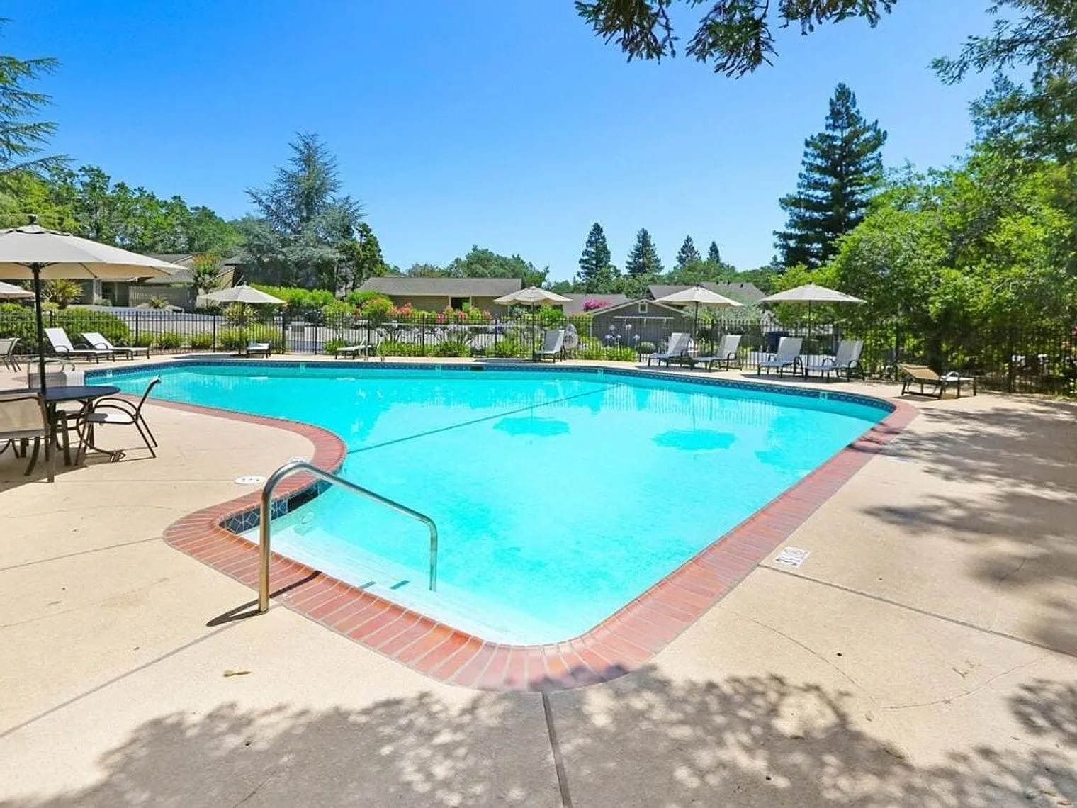 1 bed, 1.0 bath, 893 sqft, $5,911 — Photo 3