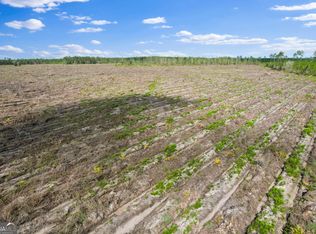 TRACT 3 Morris Break Rd, Odum, GA 31555