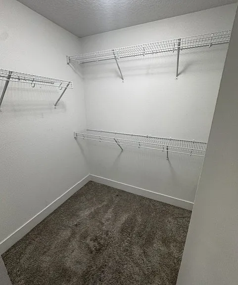 Master Walk In Closet
