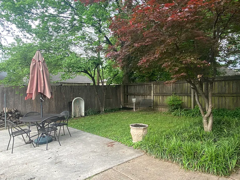 Backyard Oasis