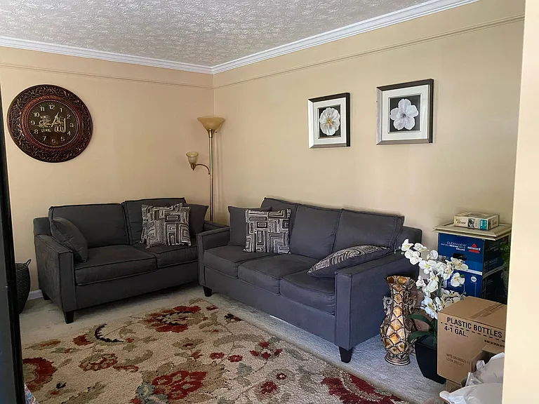 Shawnee Ridge Dr — Photo 10