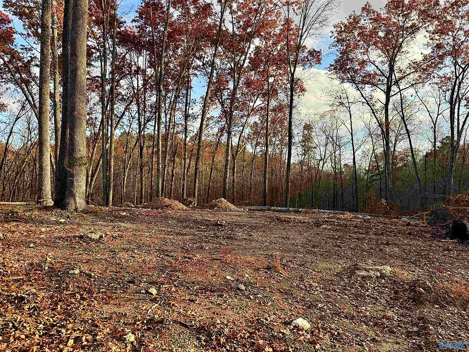 1st image of 1 County Road 137