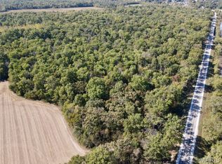 0 State Route 161, Germantown, IL 62245