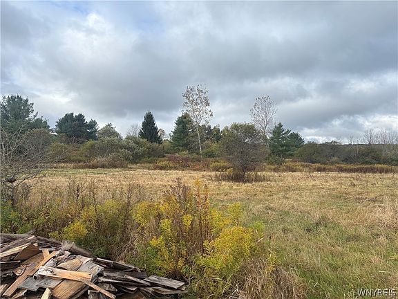 3rd image of 10087 Pratt Rd #10