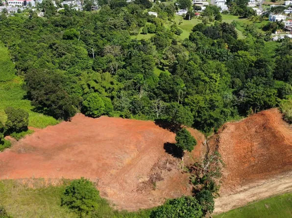 X Calle Los Cipreses Bo Pueblo Moca Pr, Moca, PR 00676