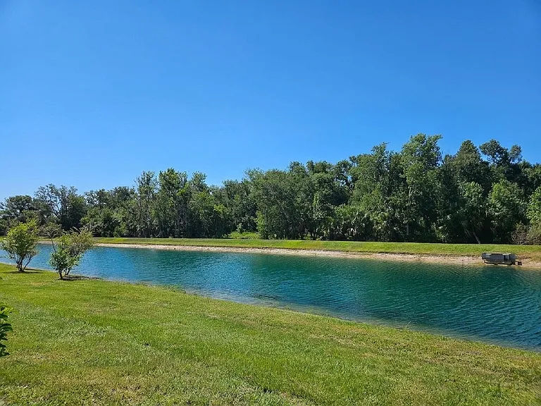 Backyard View