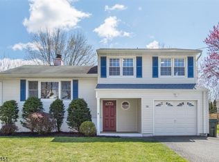 10 Beekmeer Pl, Flanders, NJ 07836