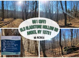 991 Old Gladstone Hollow Rd, Andes, NY 13731