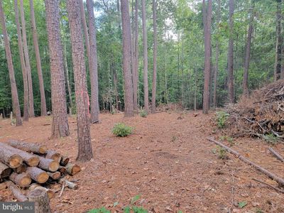 Hemlock, Mineral, VA, 23117