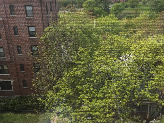 View from living room