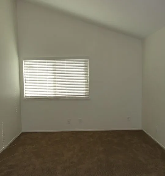 1850 Galway Ln — Photo 16