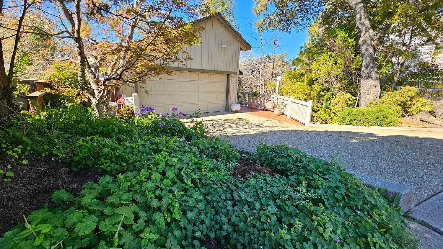 12567 Highland Dr photo 1