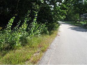 2nd image of 59 Havenwood Dr