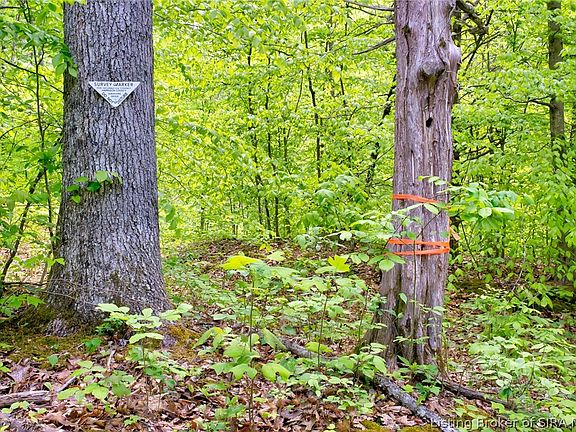 5th image of  Otterbein Road
