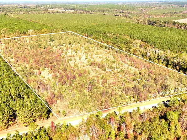 0 Rocky Springs Rd, Eastman, GA 31023